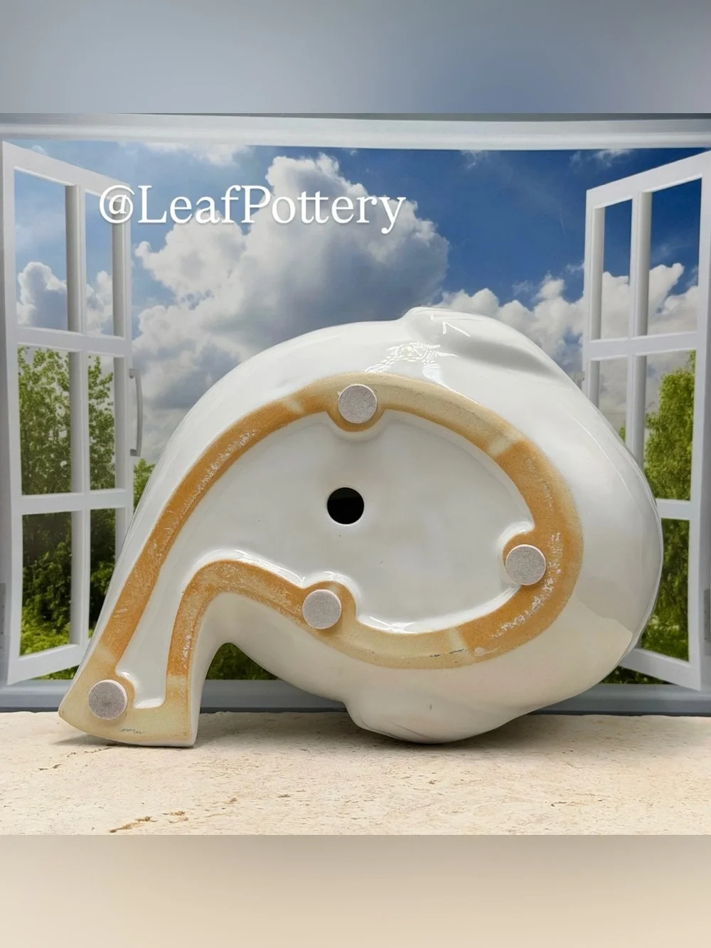 Ceramic Seal Planter with Drainage Hole • Cute Animal Flower Pot